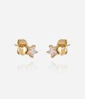 Boucles d'oreilles Nival (Acier doré)