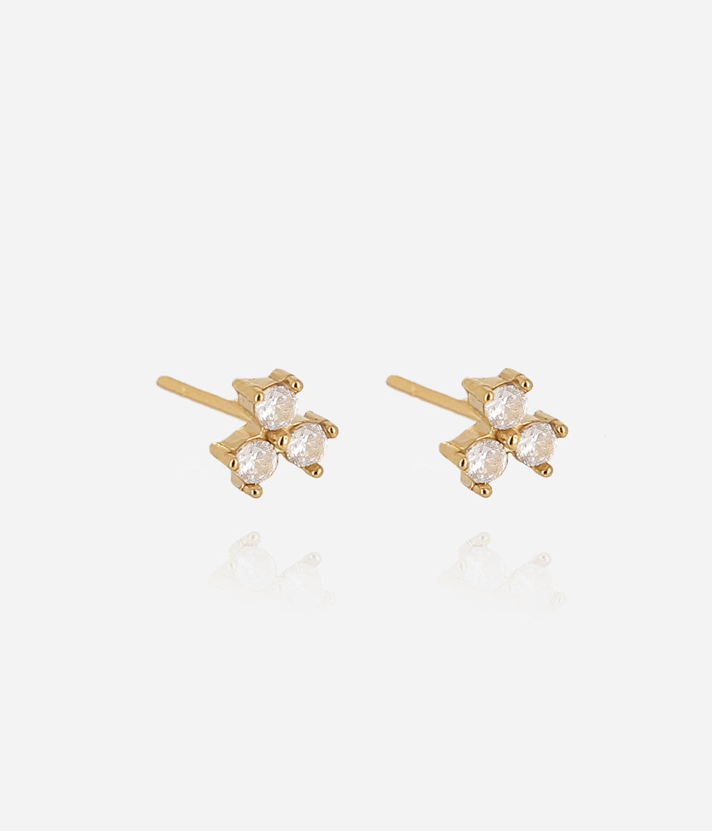 Boucles d'oreilles Ranges (Acier doré)
