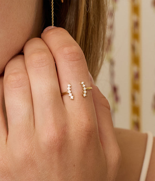 Bague Cassis (Acier doré)
