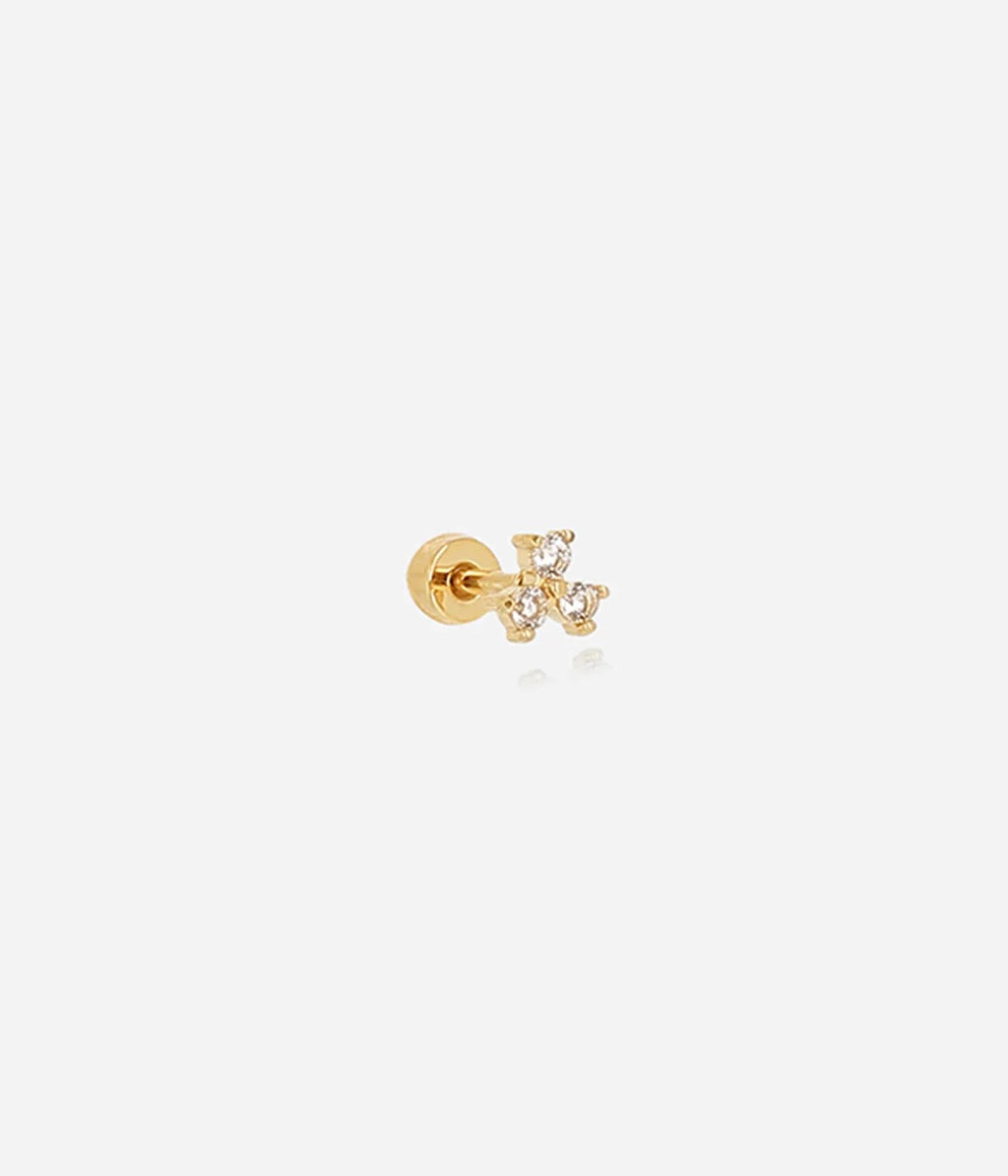 Piercing Madagascar